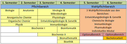 Studienplan  LimesInstitutBonn